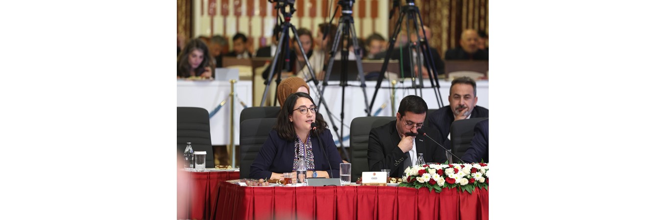 TBMM MİLLİ DAYANIŞMA, KARDEŞLİK VE DEMOKRASİ KOMİSYONUNA, TBMM MİLLİ DAYANIŞMA, KARDEŞLİK VE DEMOKRASİ KOMİSYONUNA,BARIŞ SÜRECİ,DEMOKRATİK TOPLUM