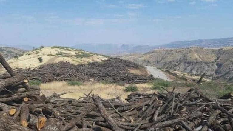 ŞIRNAK’TA SÜRDÜRÜLEN ORMAN KIYIMINA DAİR YAPILAN BAŞVURULAR HAKKINDA BASIN BİLGİ NOTU, şırnak,doğa katli